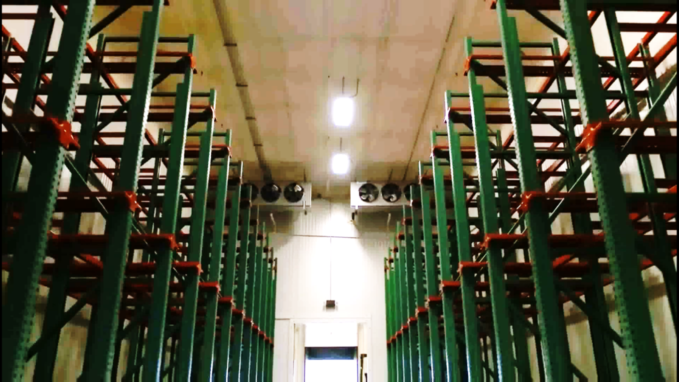 �Por qu� elegir las bodegas refrigeradas de la Nueva Central de Abastos de San Antonio Texas?