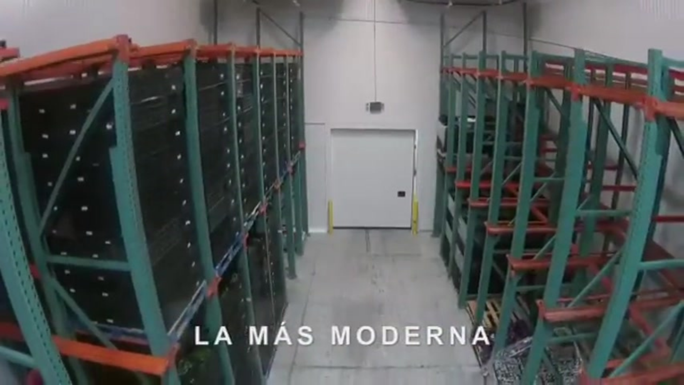 Descubre el impacto positivo de nuestras bodegas refrigeradas en San Antonio Texas en tu negocio